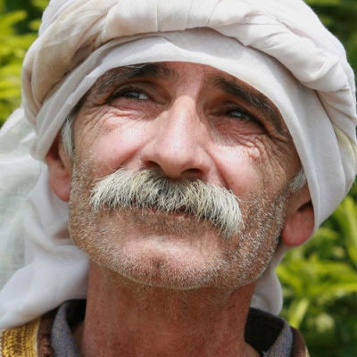 tarik-kopty